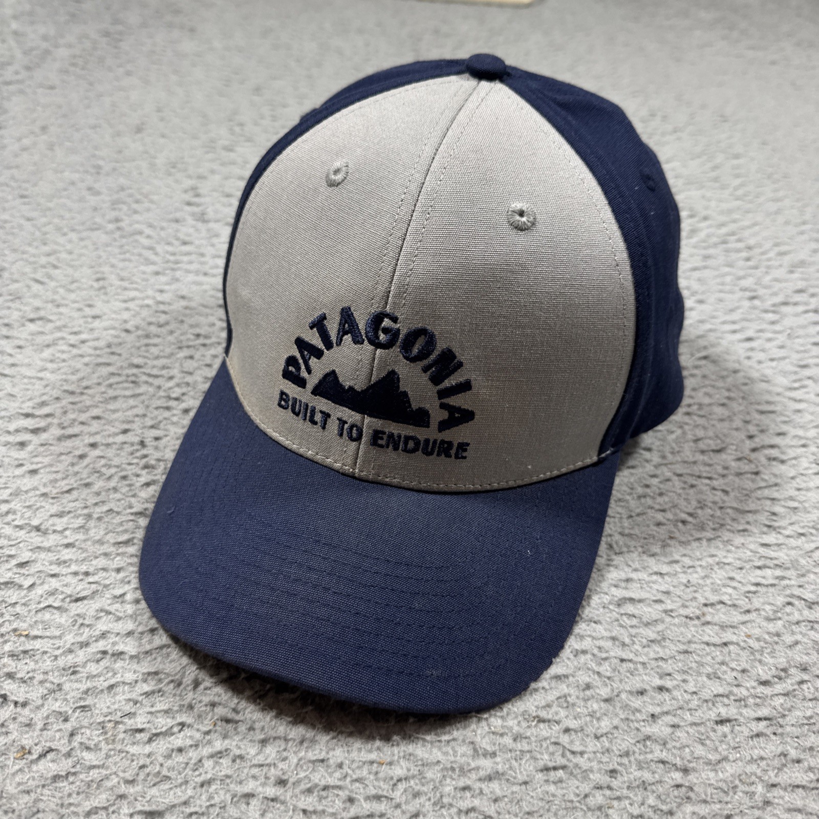 Patagonia Built To Endure Cap Spell Out Logo Snap Back Hat Geologer Roger That