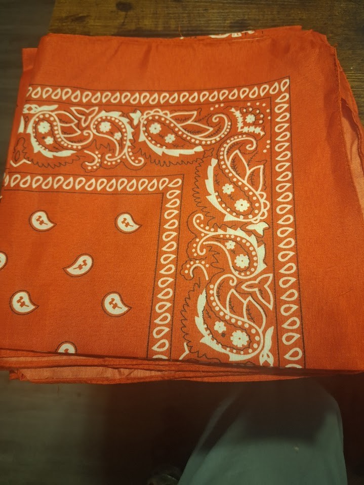 Unisex Paisley Bandanas