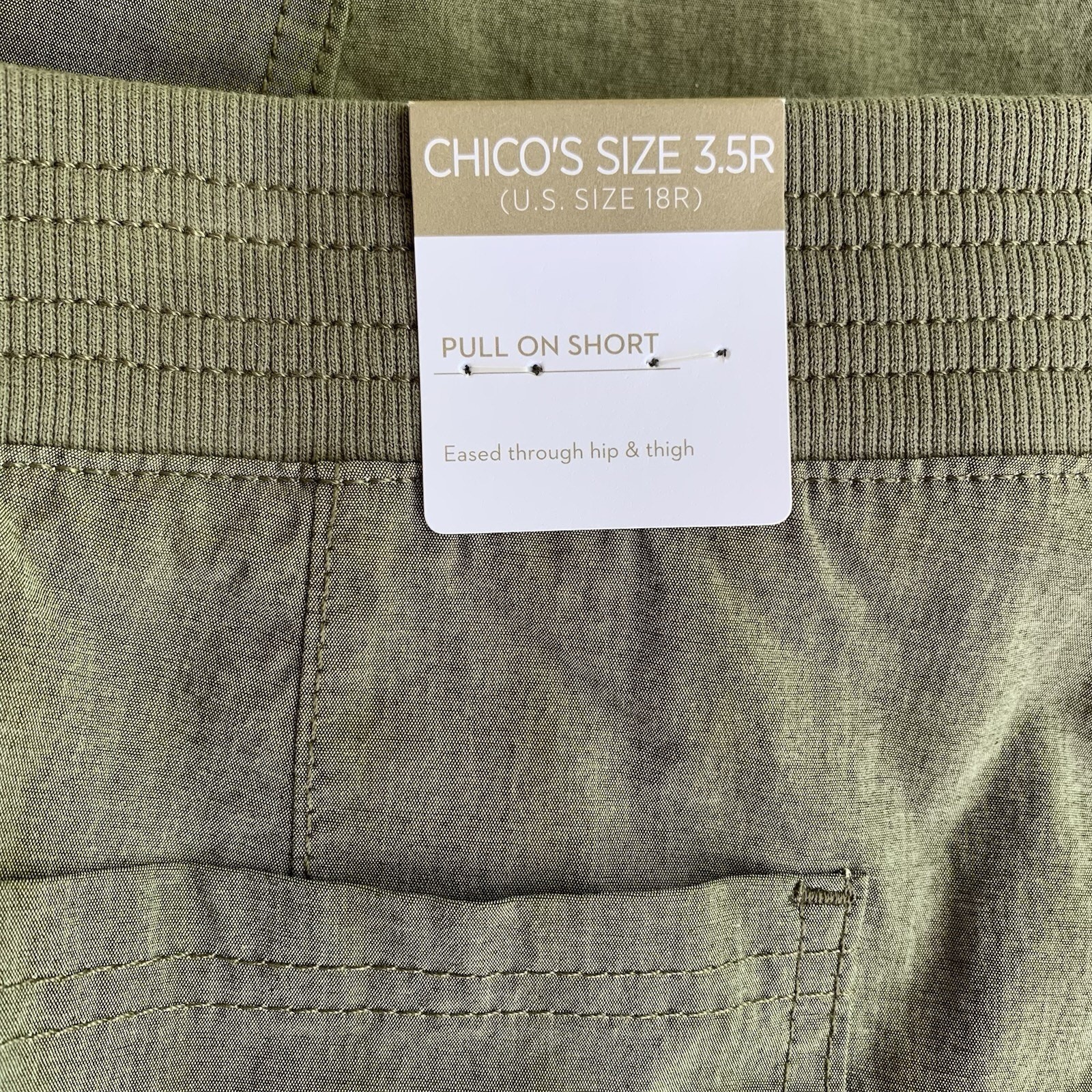 Chico’s Shorts NWT Women’s Size 3.5 (18) Carpenter Pewter Green Outdoors Pull-On