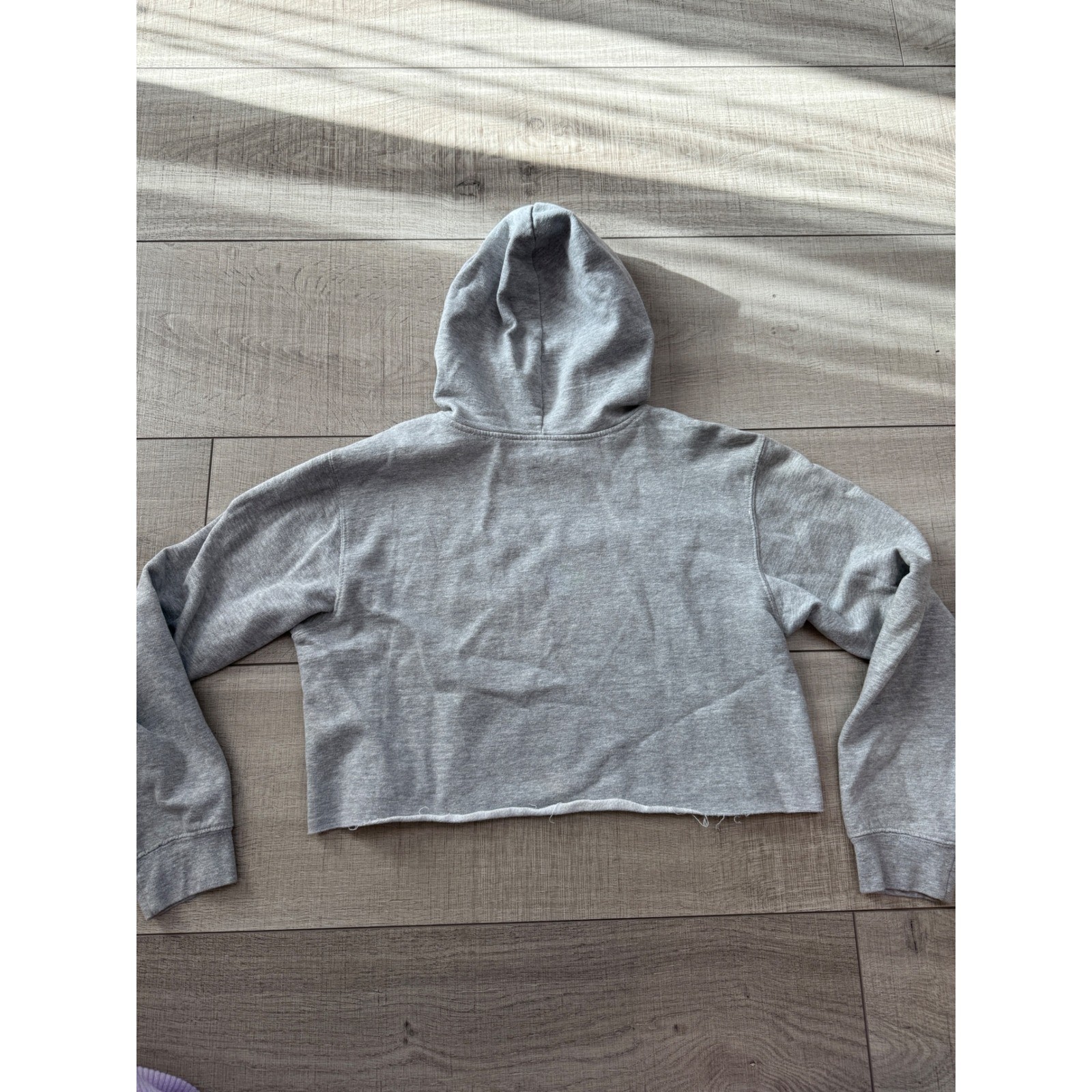 Chemistry NASA Cropped Hoodie Gray Heather Graphic Sweatshirt Womens Medium