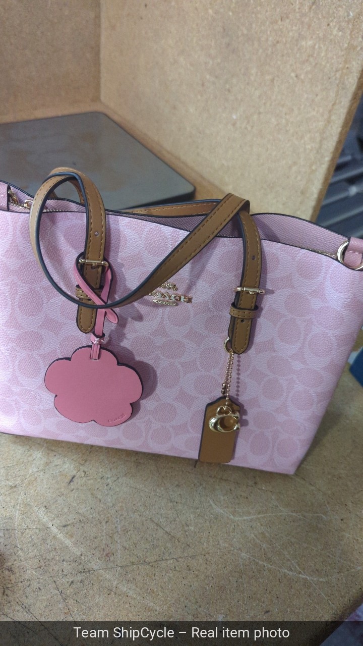without tags Coach Mollie Tote Bag 25 In Signature Canvas With Charms Go G2U