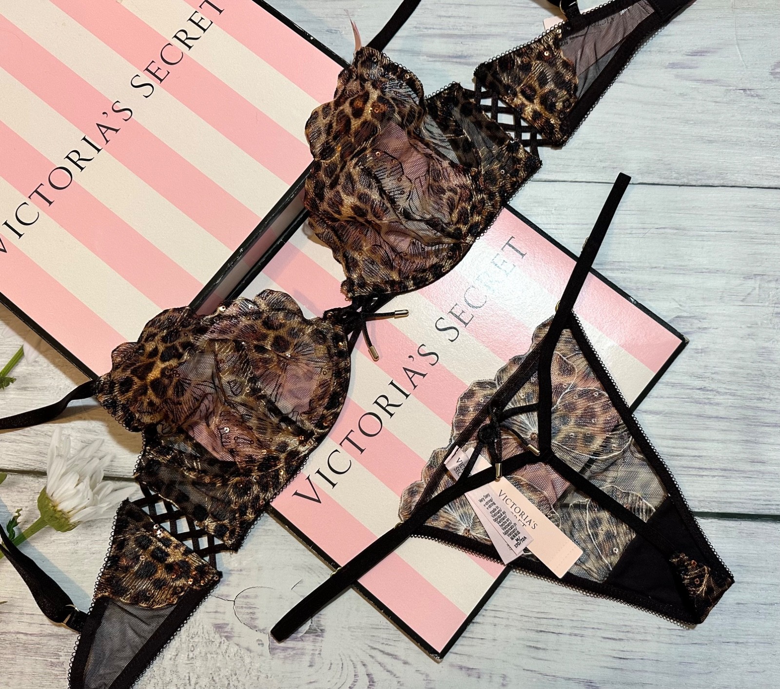 Victoria’s Secret Geo Leo Embroidery Unlined Demi Bra Garter Thong Set
