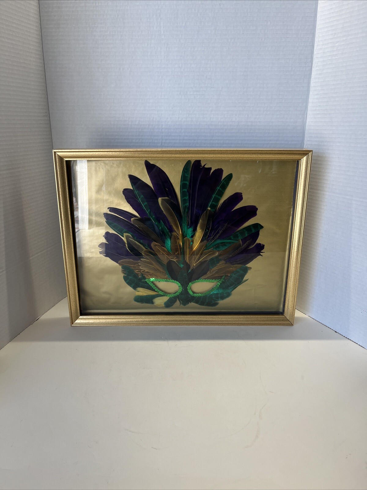 Handmade mask with peacock, coquil and pheasant feathers Framed Art 17 /13