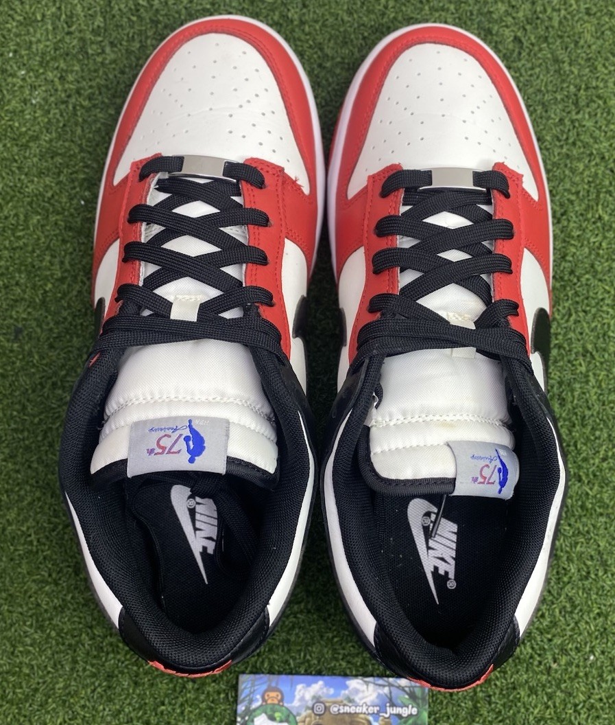 Size 10 – Nike Dunk Low Retro EMB 75th Anniversary Chicago Bulls DD3363-100