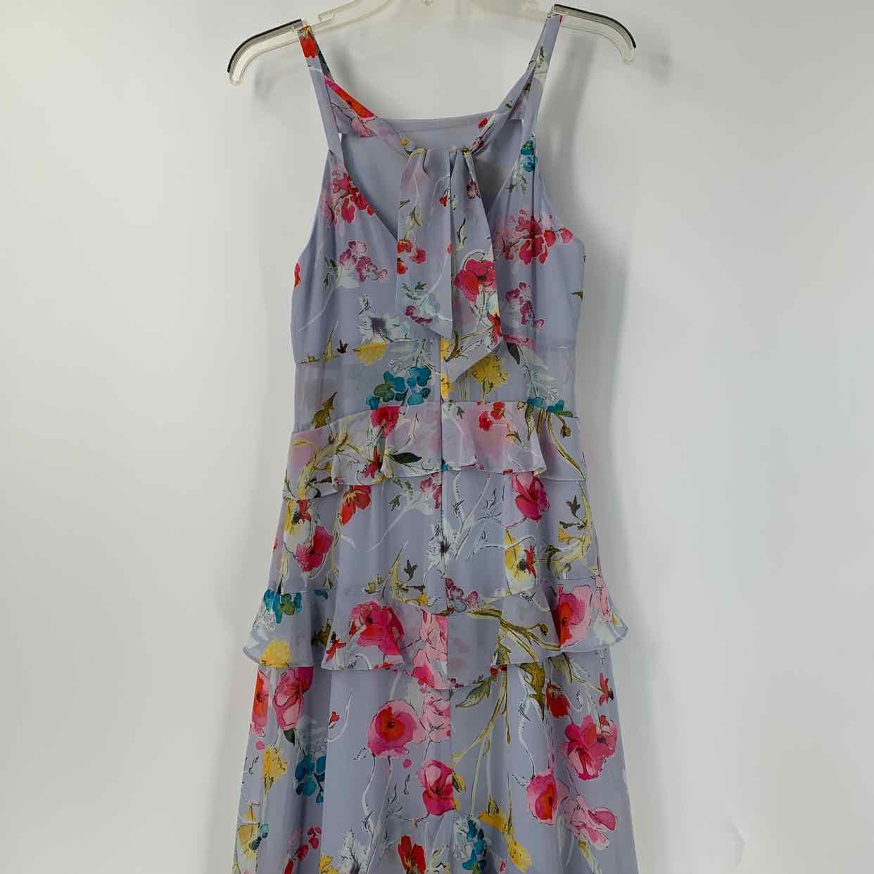 Size 4 RACHEL ROY Lavender Multi-Color Floral Dress