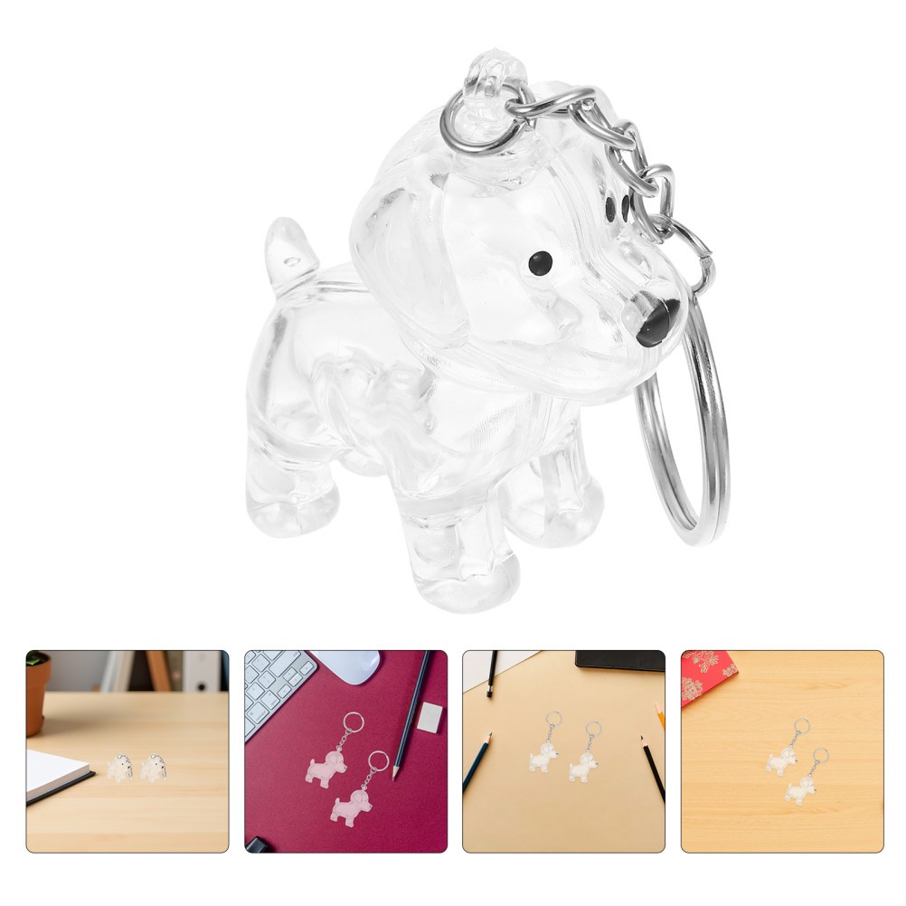4Pcs Dog Transparent Lightweight Hair Storage Keychain Pet Memorial Souvenir