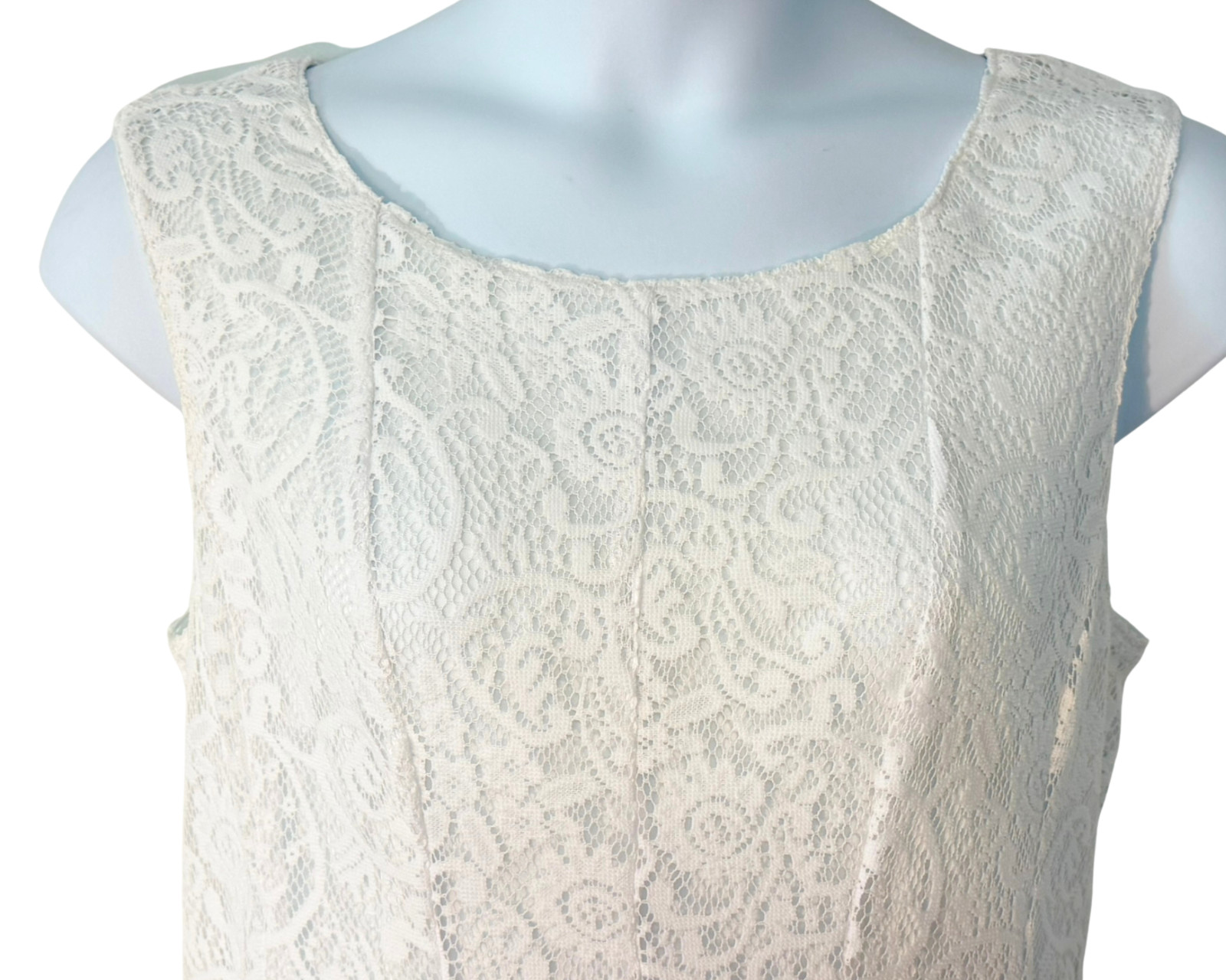 Connected Sz 16 Fit-and-Flare Dress Princess Cut White Crochet Lace Romantic