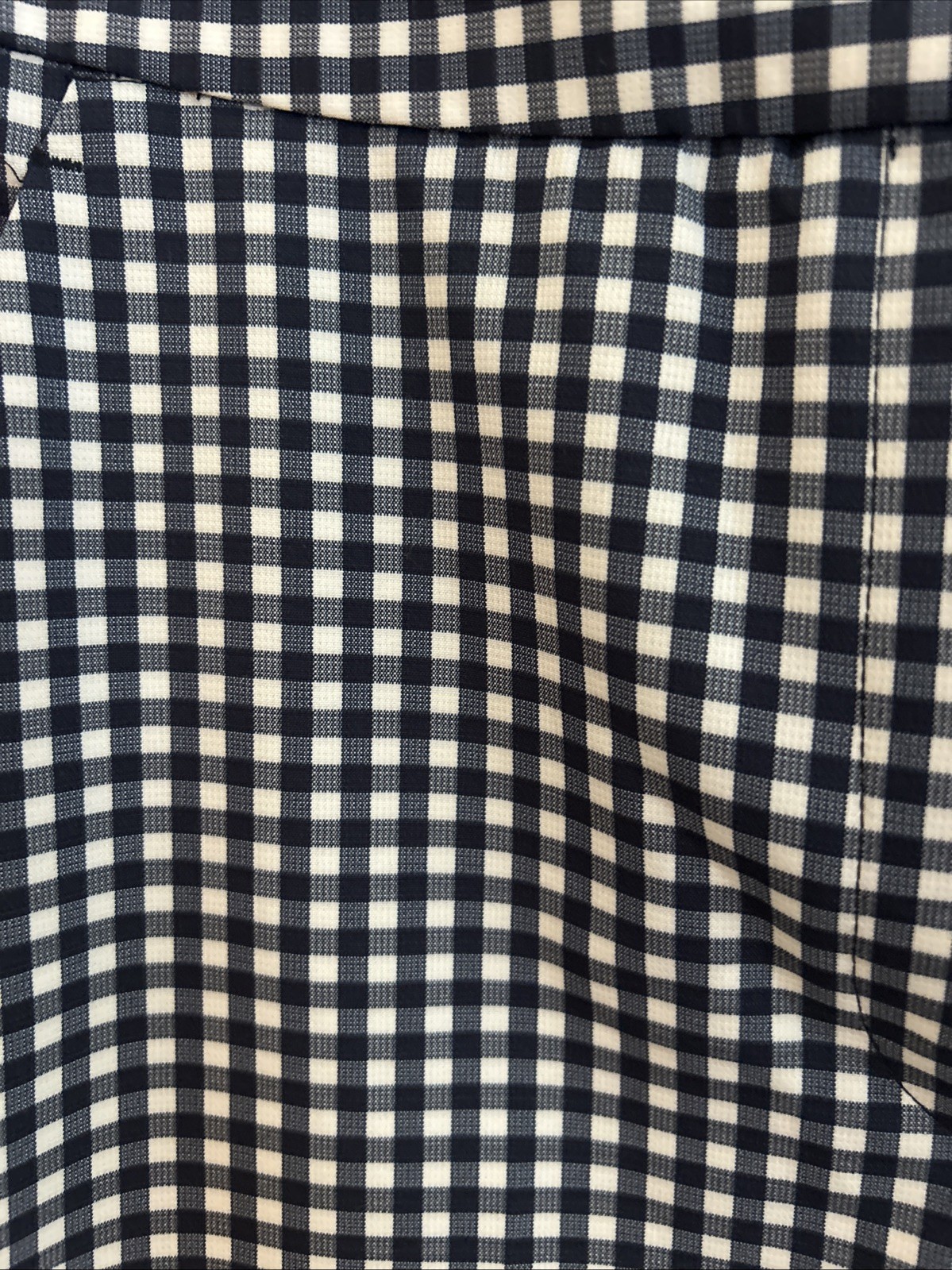 Zara Dress Pants Womens Blue White Gingham Stretch Sz 8 Slim Skinny