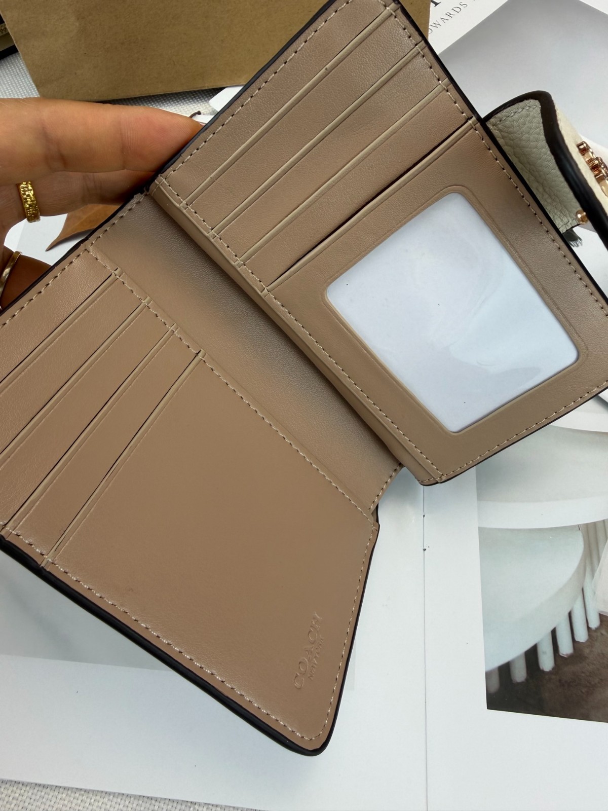 Medium Corner Zip Wallet With Sketch Print In Gold/Chalk CAO94 SHIP FROM US