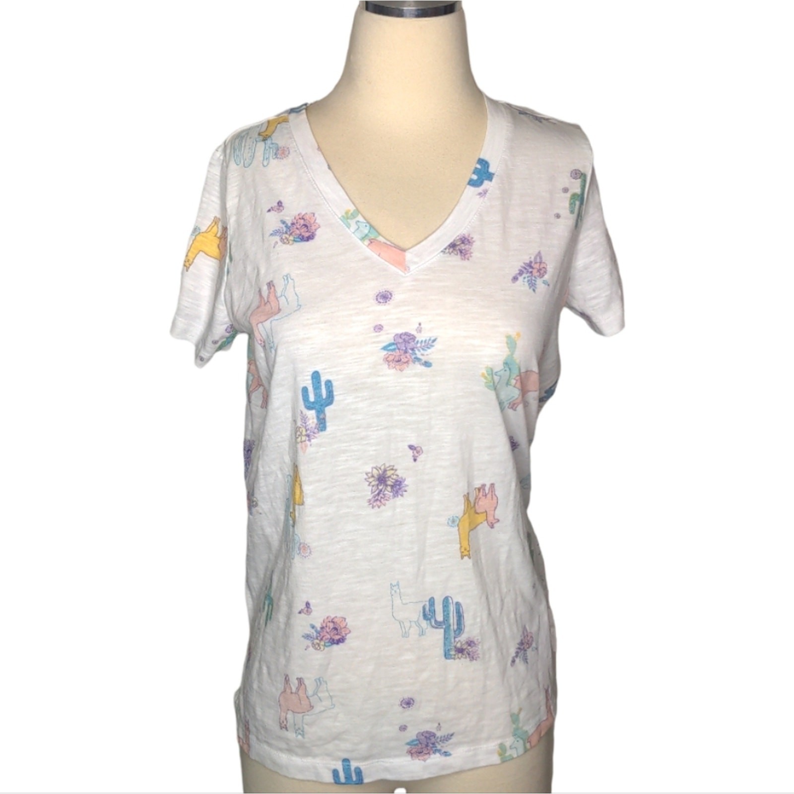 MUDD Roadtrip Tee White Llama Cactus Floral V-Neck Burnout Tee Small
