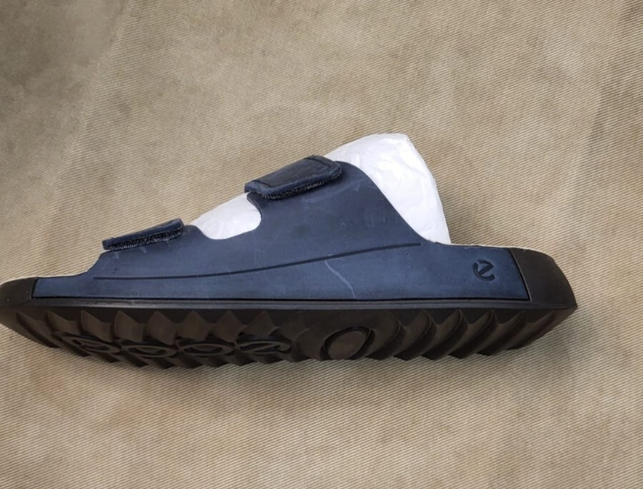 Ecco 2nd Cozmo