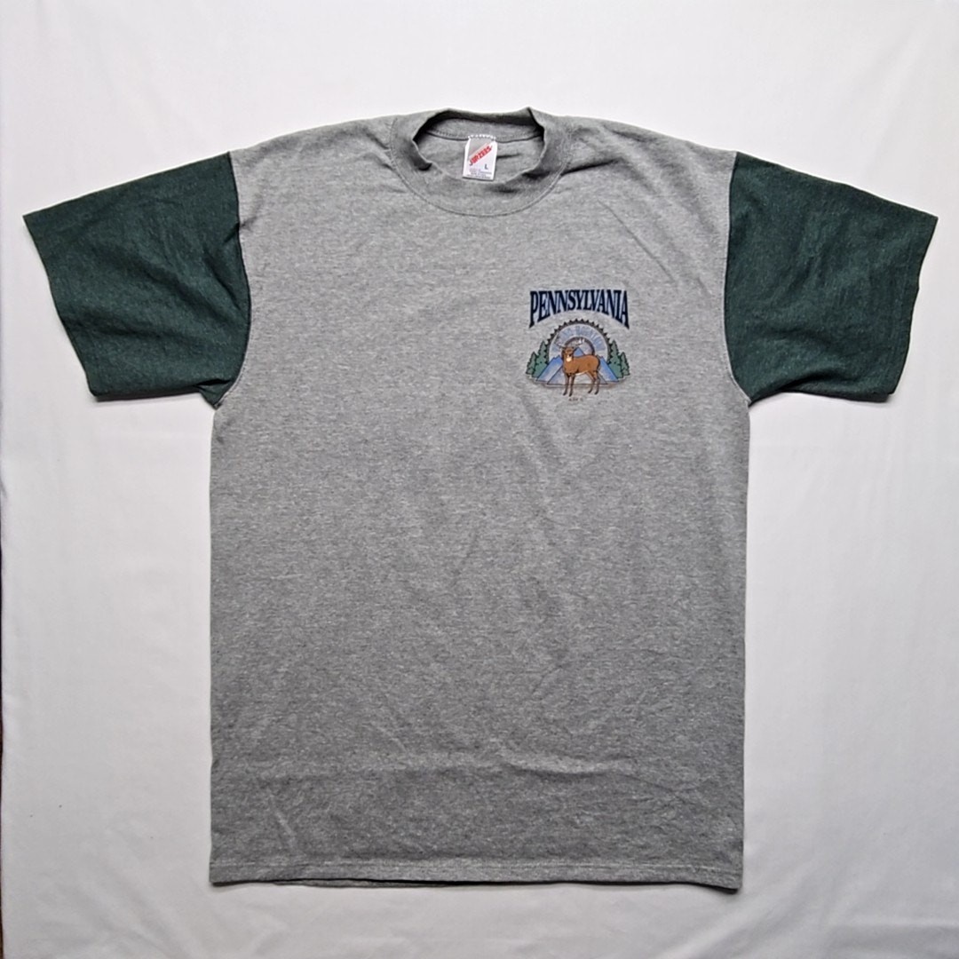 Vintage Pennsylvania Shirt Deer Nature Gray Green Mens Large Colorblock Tee