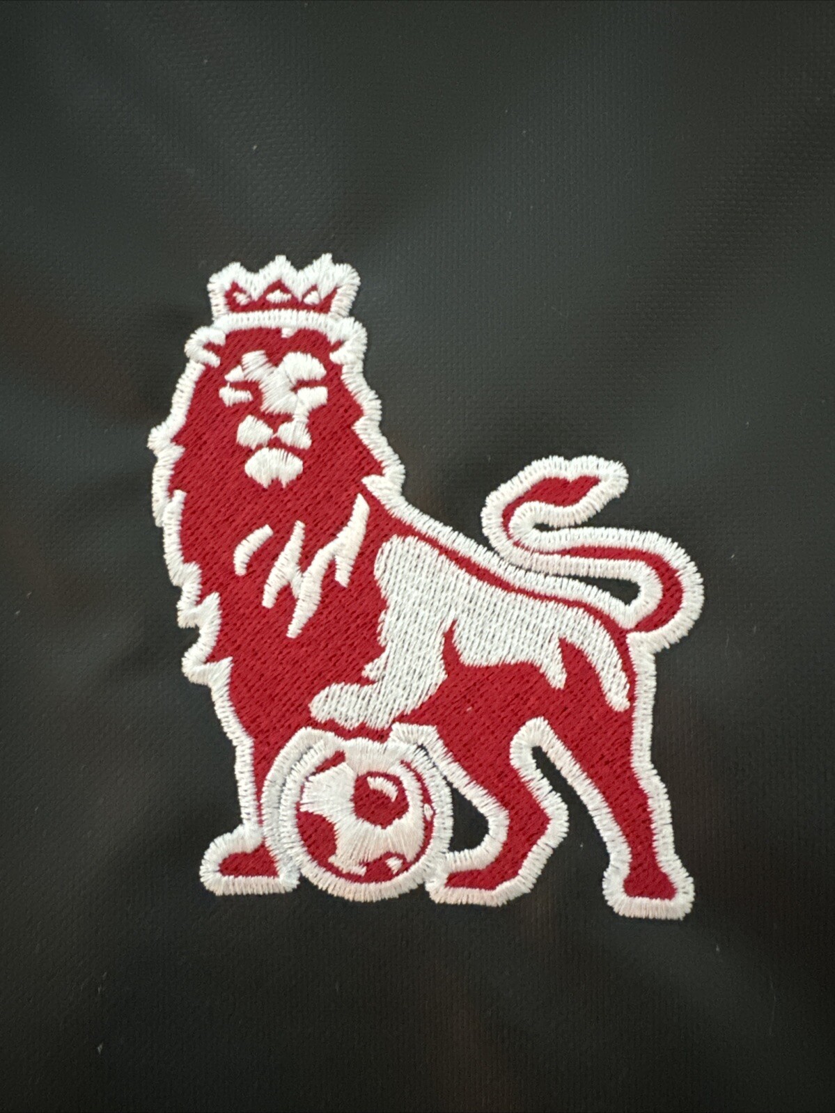 Nike Brasilia Gym Training XL Backpack DM3975-010 Black Embroidered PL Lion Logo