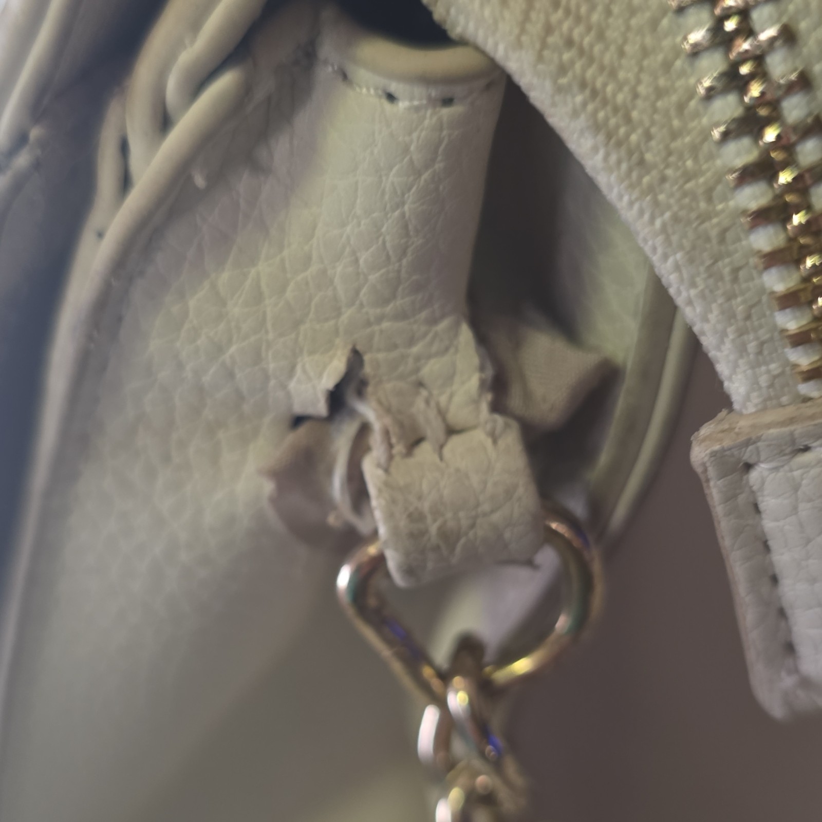 Steve Madden Women’s Small Beige Logo Crossbody Zip/Magnetic Chain Detach Strap