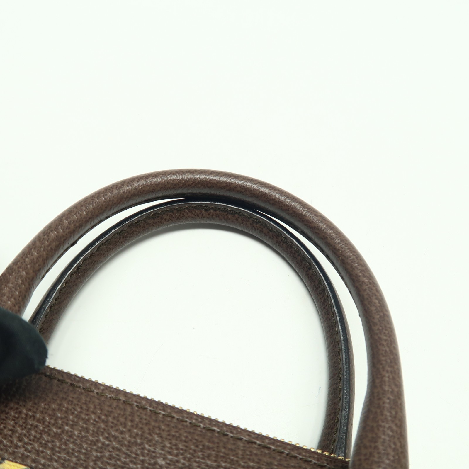 Gucci Blooms Brown GG Bengal Tiger Canvas Satchel T10400162