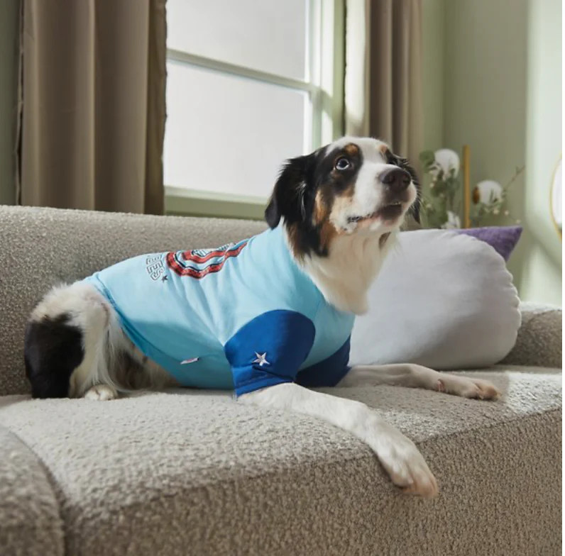 Marvel ‘s Captain America “Hero Vibes” Dog & Cat T-shirt Size XXL
