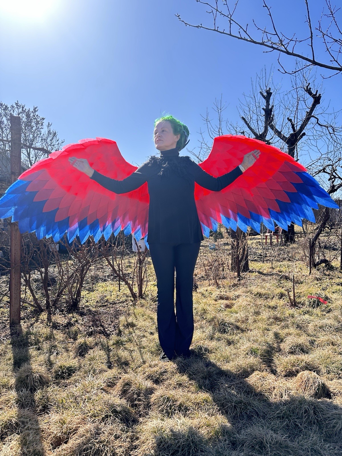 Red Angel Wings Costume Red Blue Angel Wings