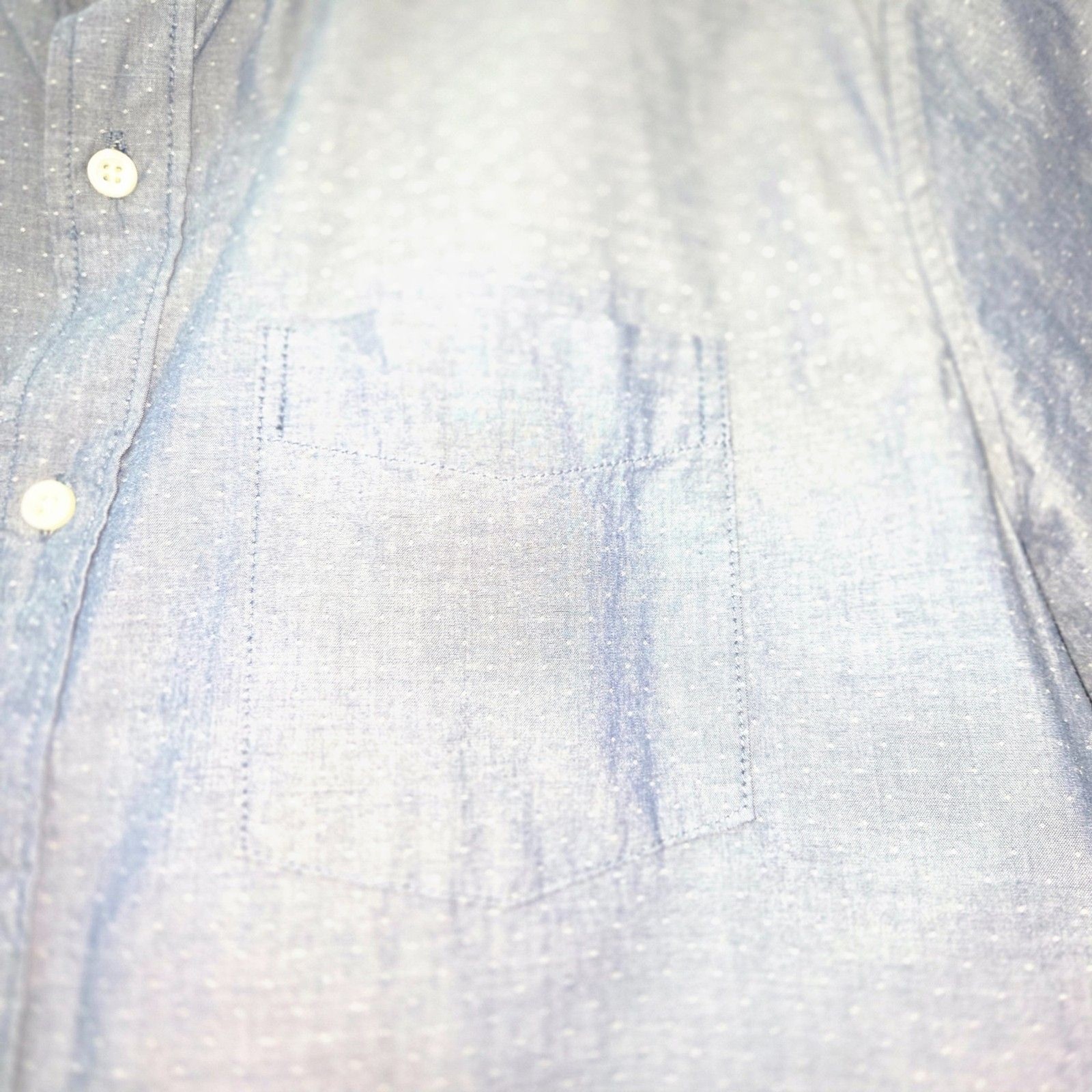 GAP Standard Fit Men’s Large Button Down Shirt Classic Casual Cotton Top