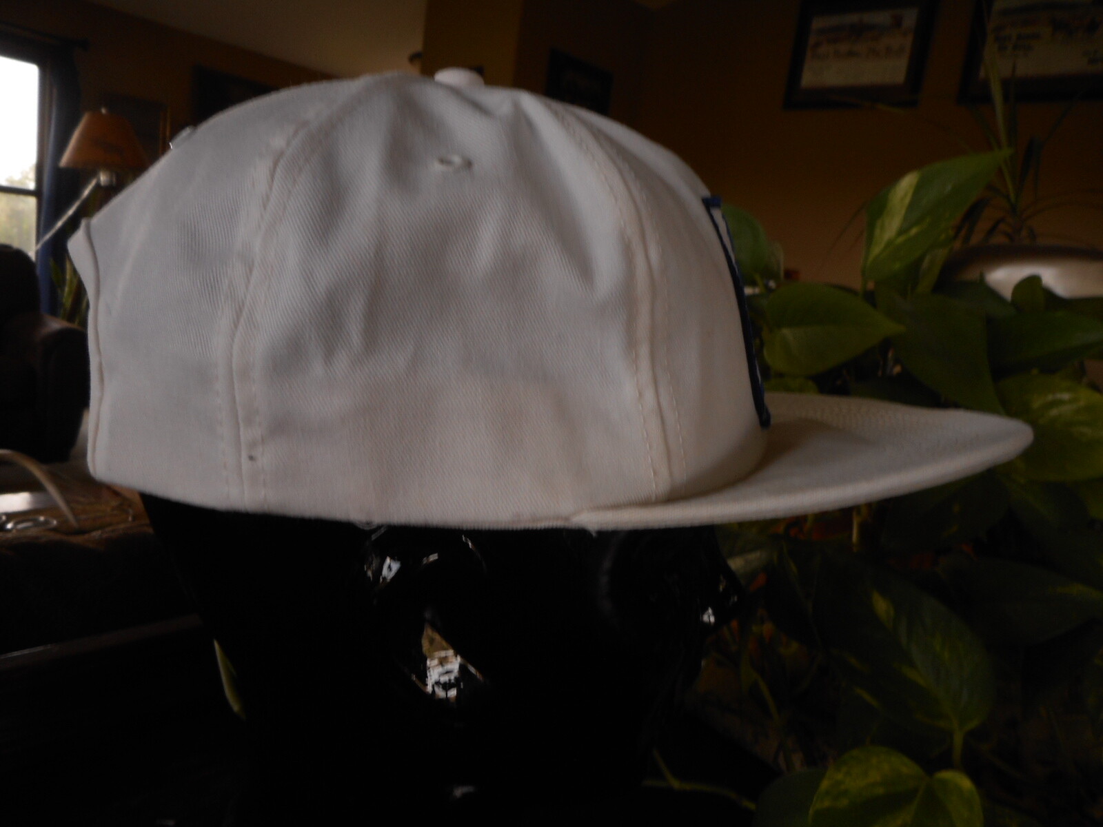 South Dakota Canton Fairview Worthing First American Bank Hat Vintage Snapback