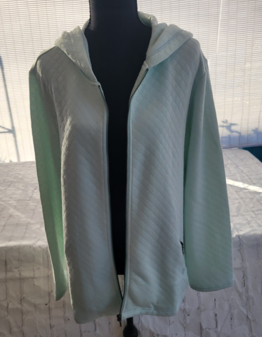 Coldwater Creek sweatshirt (1X ) mint green beautiful pastel -classy – fun