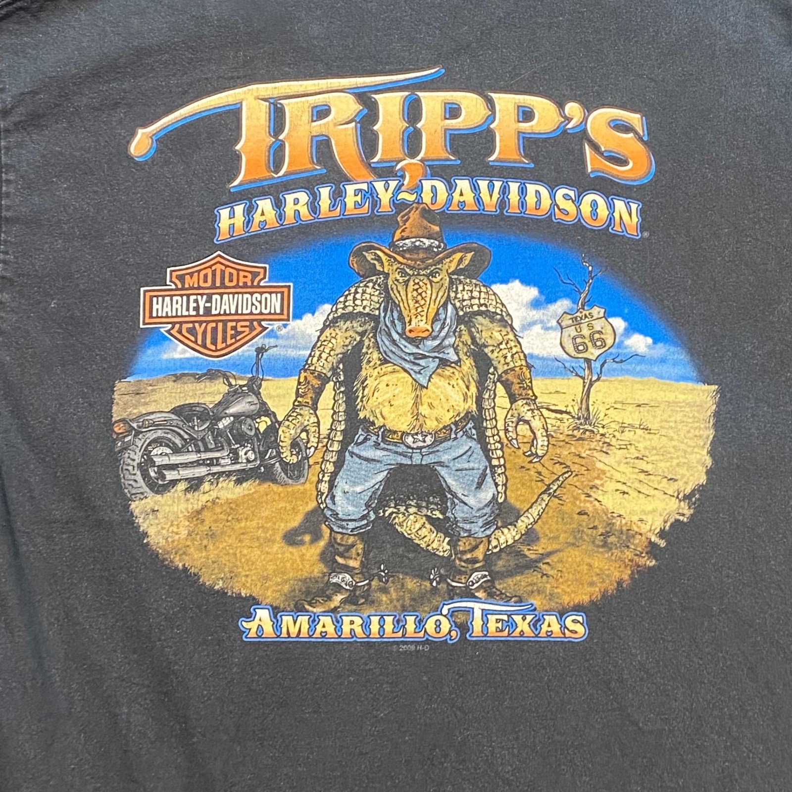 Harley Davidson Shirt Sz L Men Black Biker Hogs Run Hard Fast Amarillo Texas Tee