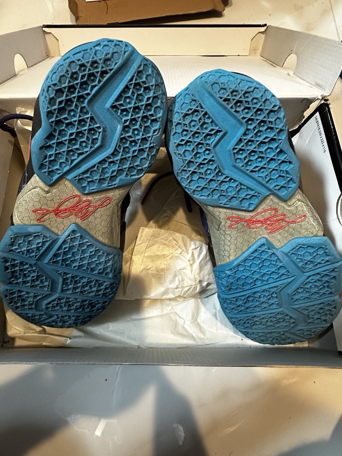 2014 Nike LeBron 11 ‘Hornets’ Size 6Y
