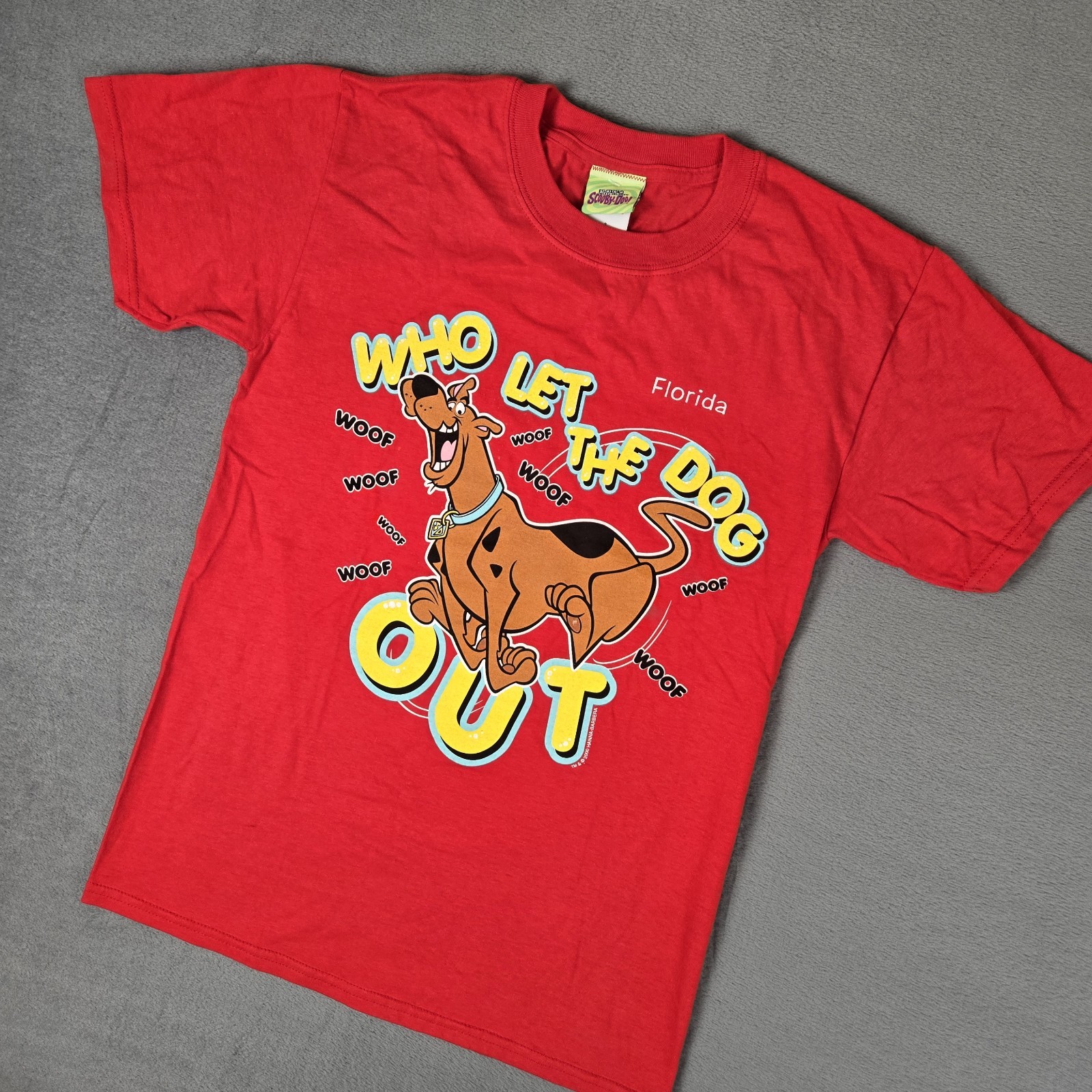 Vintage Scooby Doo Shirt Mens Small “Who let The Dog Out” Cartoon Network 2000
