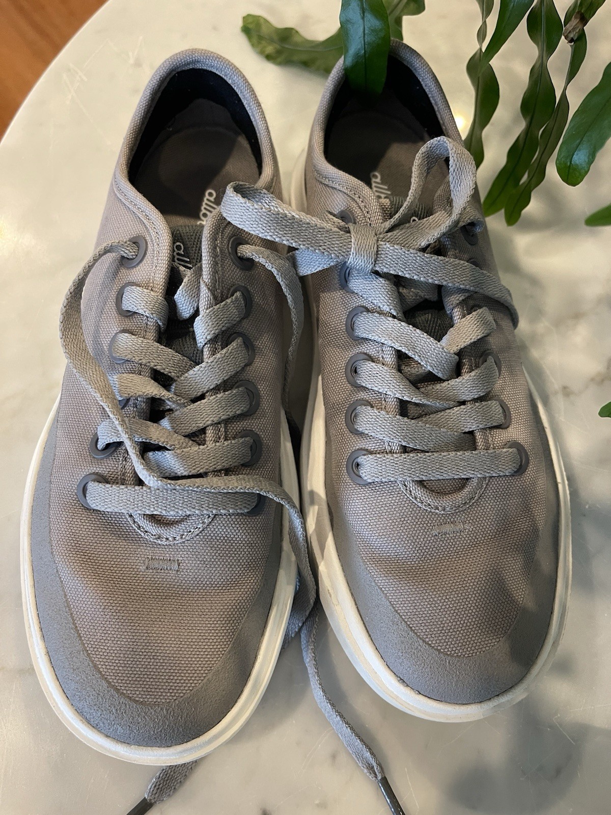 Allbirds Women’s Gray Canvas Piper CP2 Low Top Lace-Up Athletic Sneakers