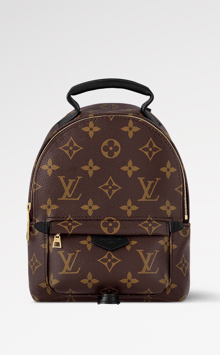 Louis Vuitton Palm Springs Backpack Mini Brown Canvas Monogram