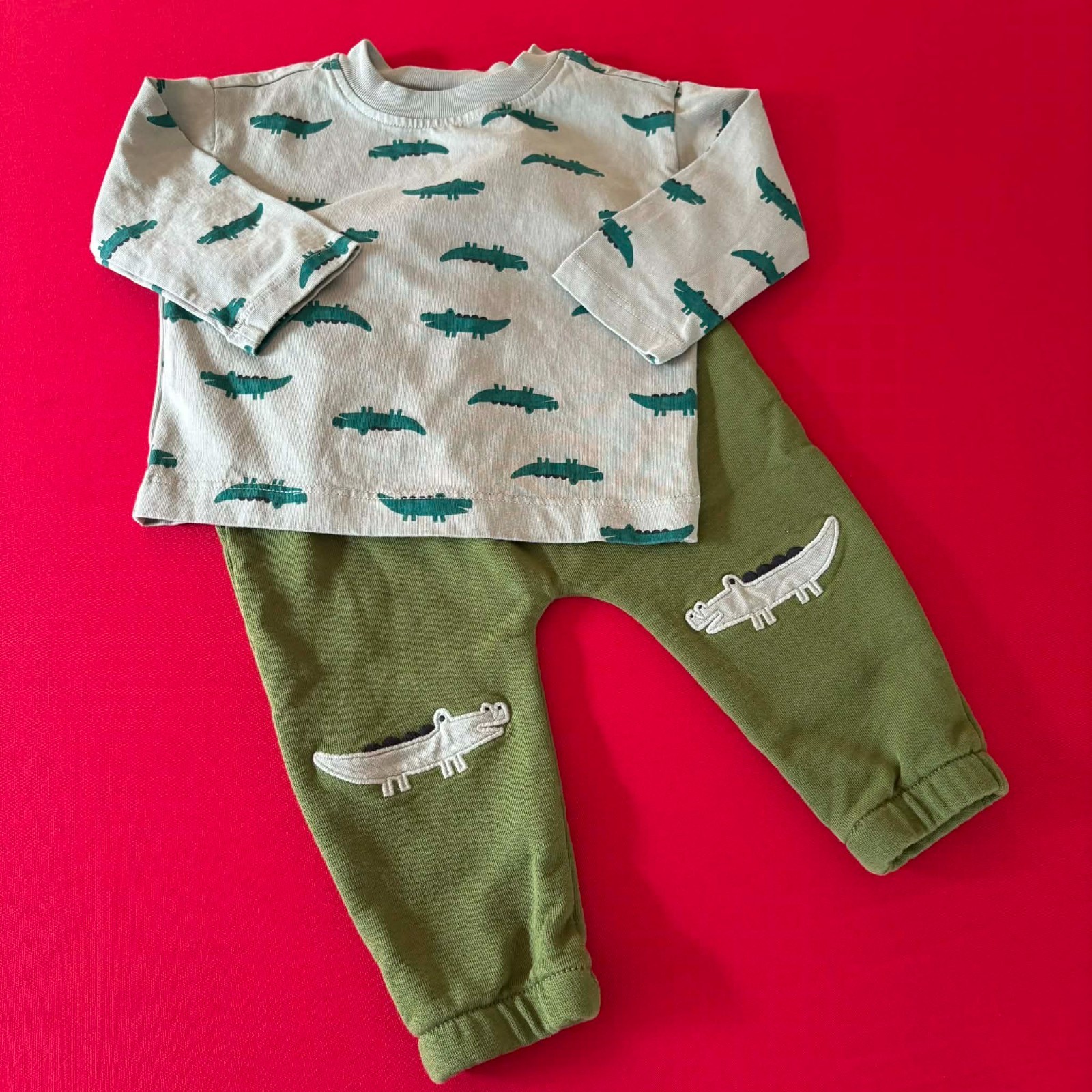 Hanna Andersson T-Shirt & French Terry Sweatpants Set. Size 12-18 Months, 75 cm