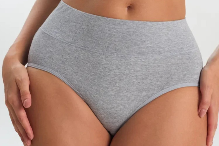 Womens PlusSize 2X Gray Soft Cotton HightWaist Panties Control Full Briefs Comfy
