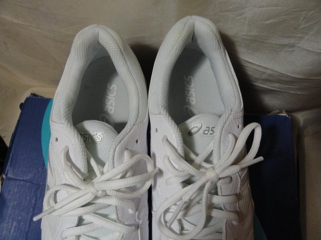 NEW WOMENS ASICS GEL DEDICATE 6 WHITE SILVER TENNIS COURT SNEAKERS SHOES SIZE 11