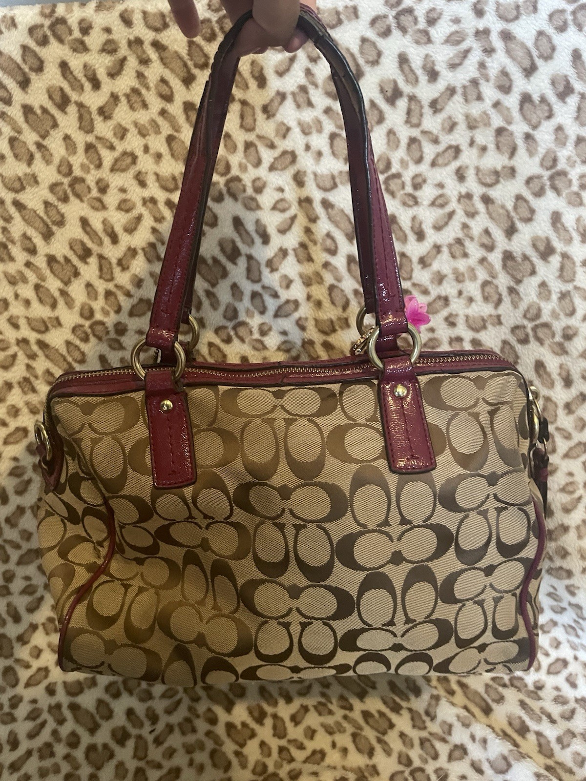 Coach F24884 Signature Stripe Python Snake Zip Satchel Khaki/Raspberry