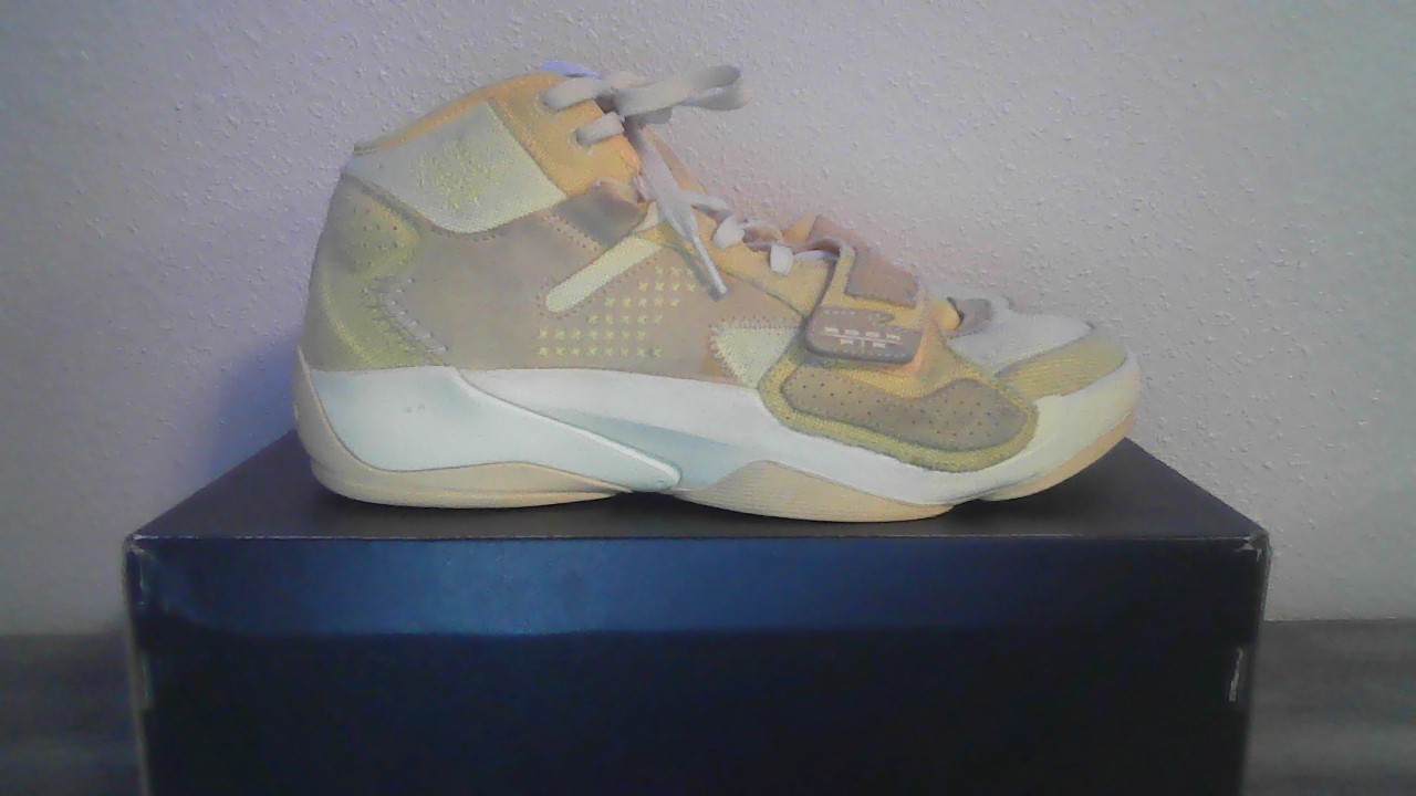 Size 9.5 – Air Jordan Zion 2 Full Moon