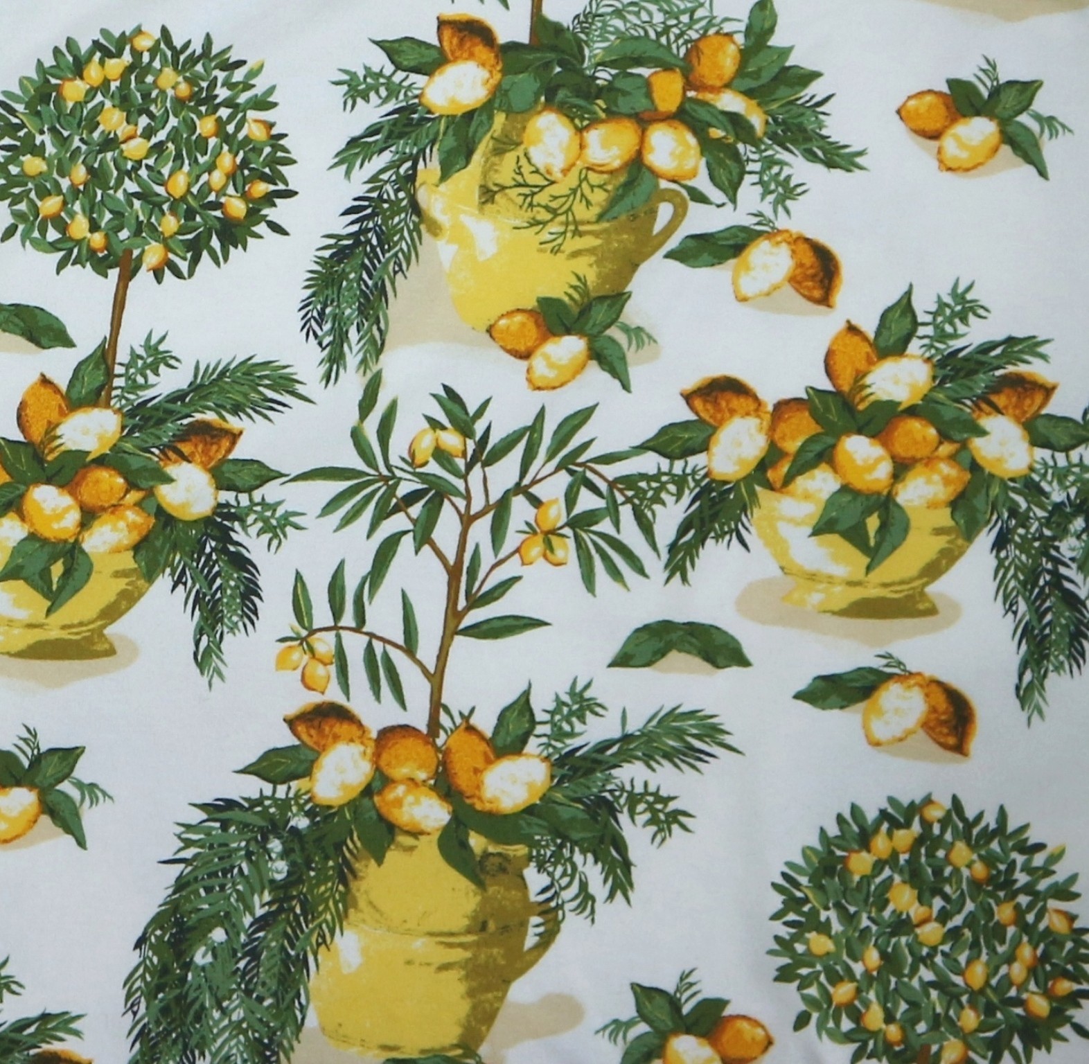 TALBOTS PLUS White T-Shirt w Lemons 3/4 Slvs 47 In Chst 26 In Lng Sz 2X EXC