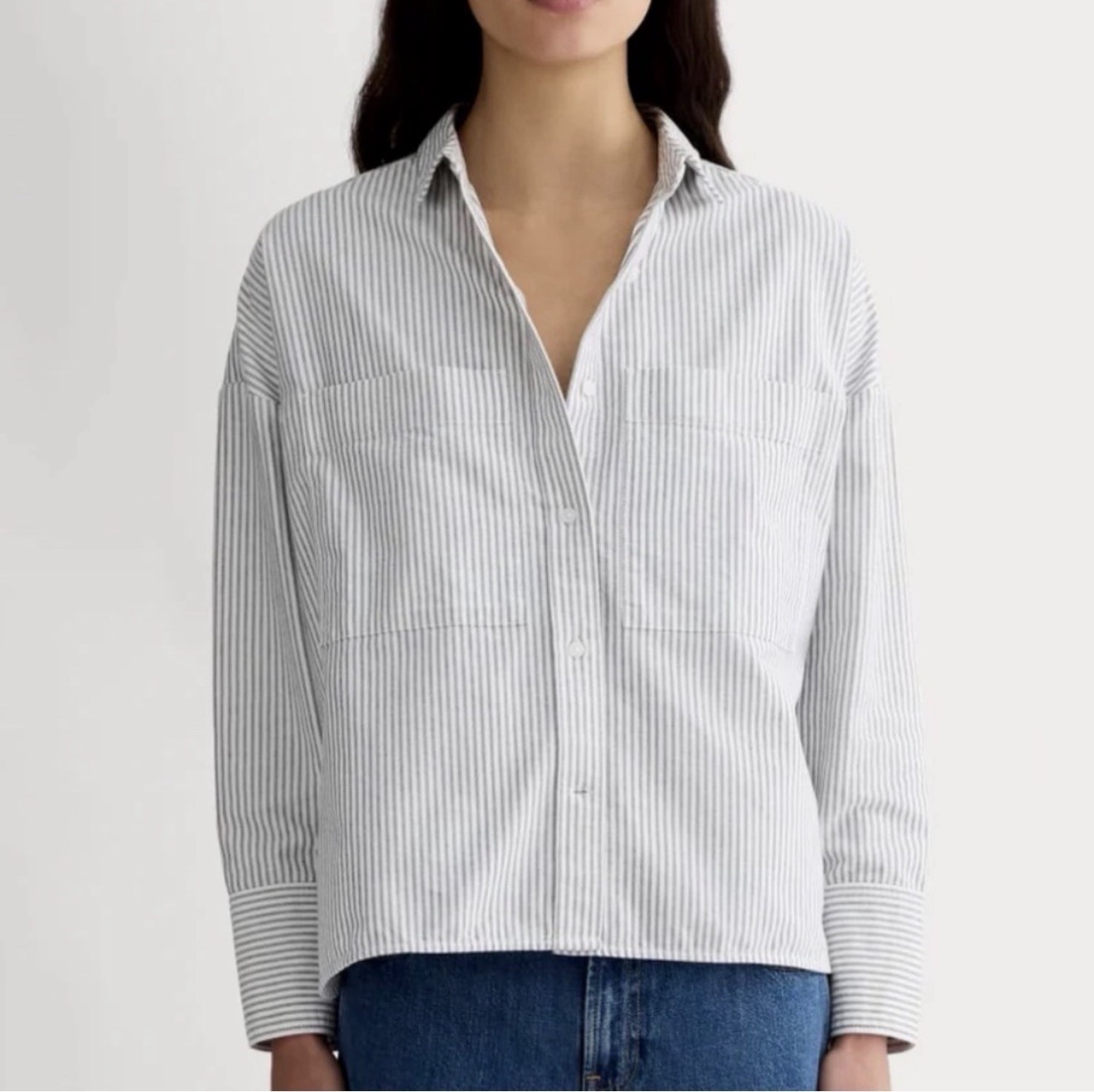 Everlane The Boxy Oxford Shirt Organic Cotton Gray White Stripe Size XS NWOT