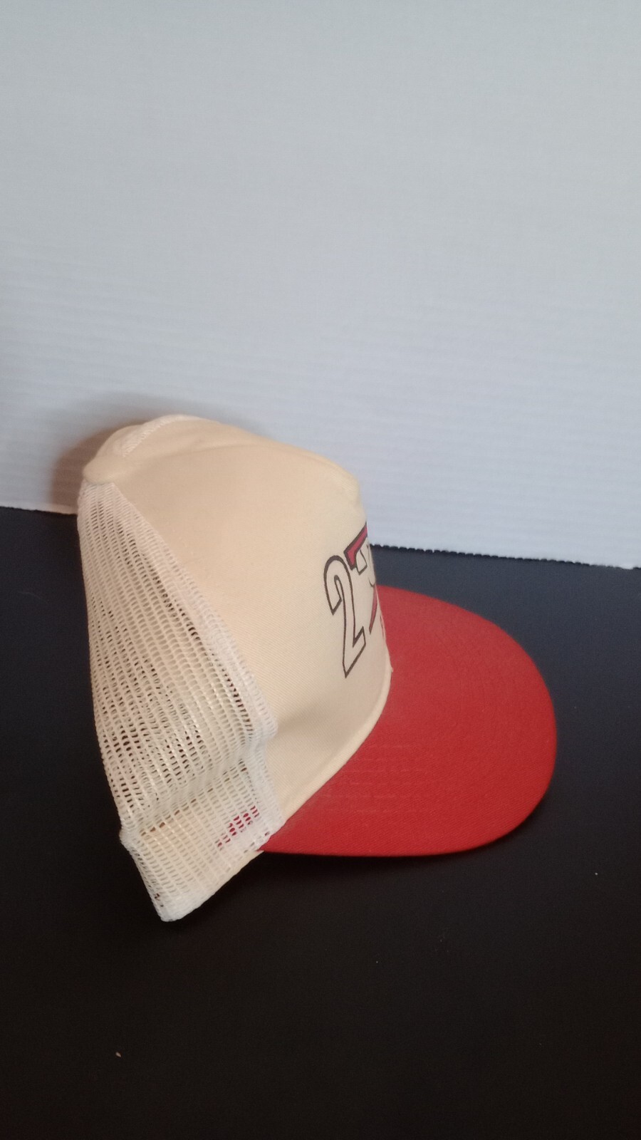 Vintage 2000 and Beyond Bulldog Snapback Men’s Hat By Pioneer Industries
