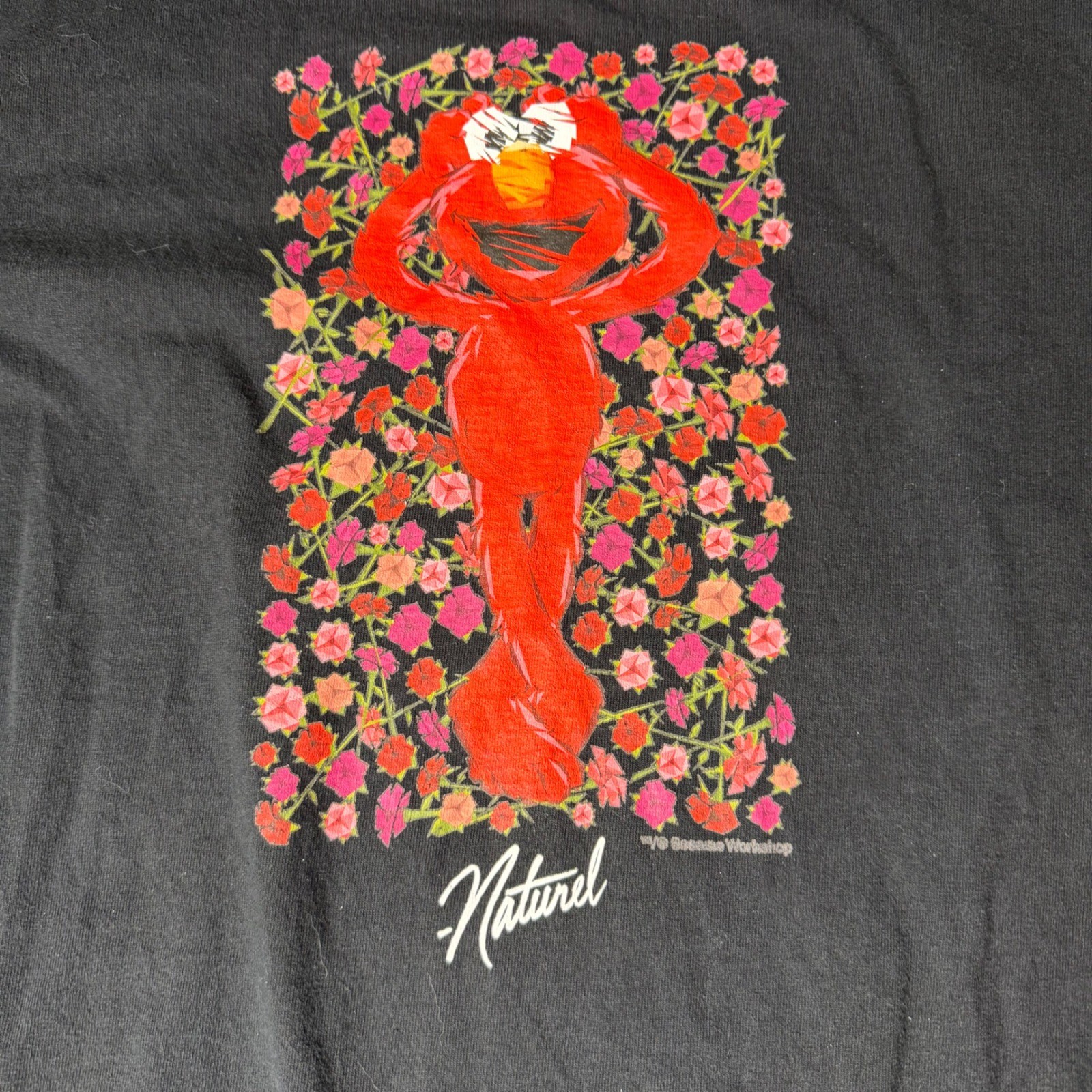 Champion Naturel Sesame Workshop Elmo Flower Graphic T-Shirt Black XXL