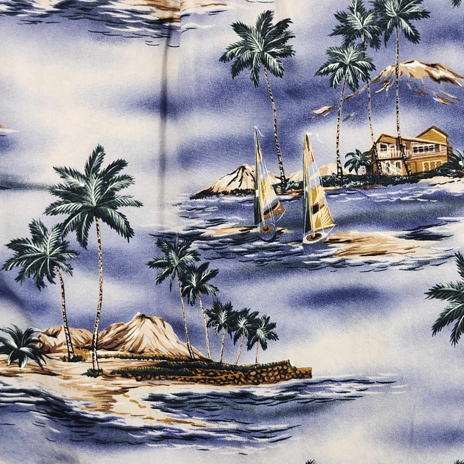 David Taylor Hawaiian Shirt Mens Medium Button Down Blue Tropical Cruise Aloha