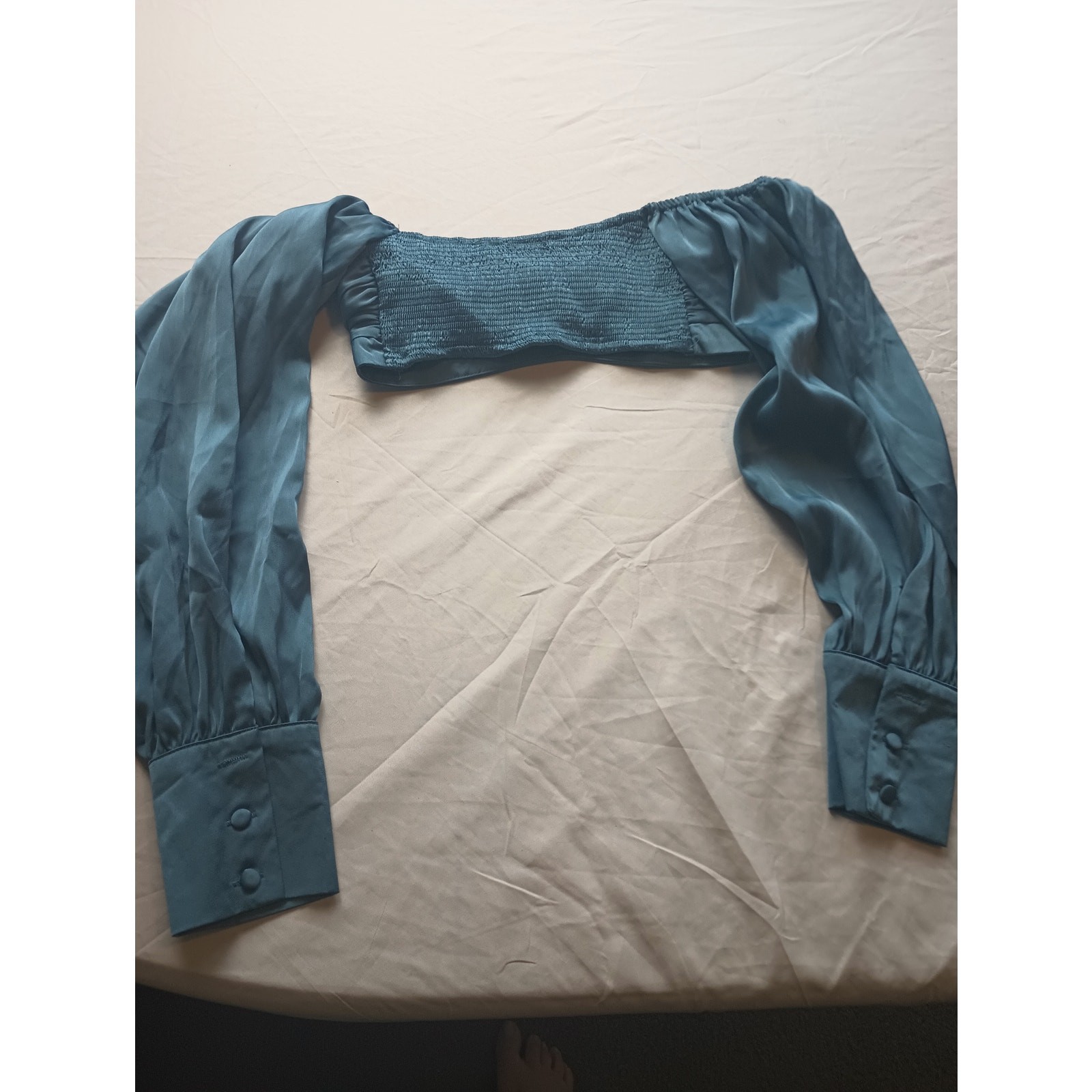 Skylar Rose Crop Top Balloon sleeves Faux silk Smocked back NWT Size XS