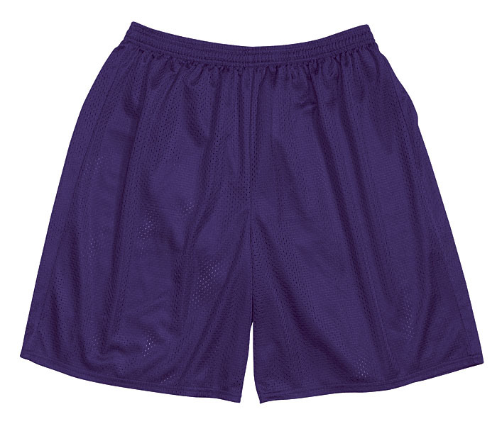 Men’s Athletic Mesh Shorts -11 Assorted Colors