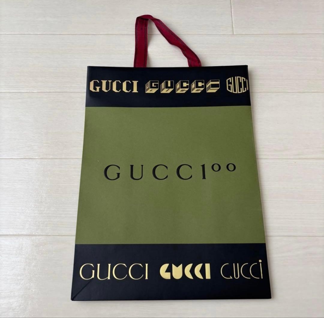GUCCI Minnie Shoulder Bag Ophidia Gift Present 0620b