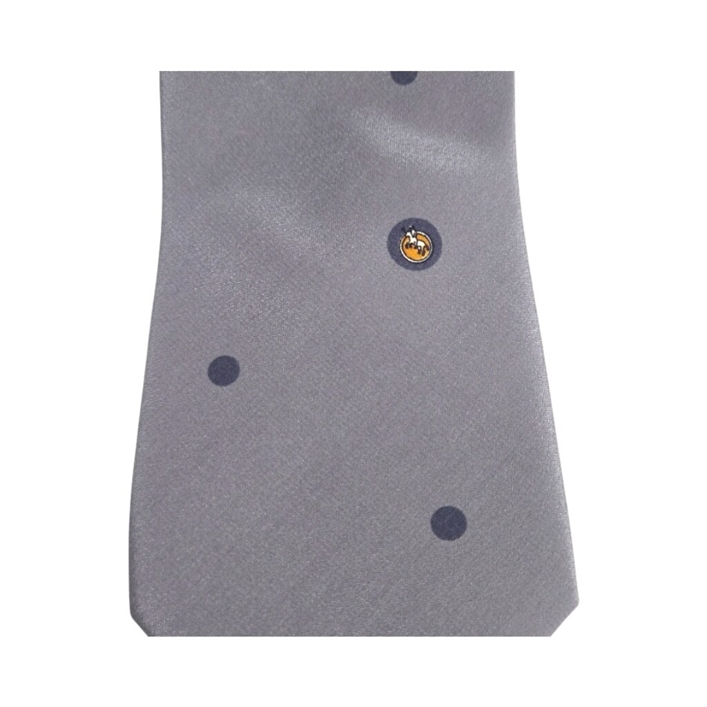 Brisson Gray Slim Mens Necktie with Matte Finish and Standard Length