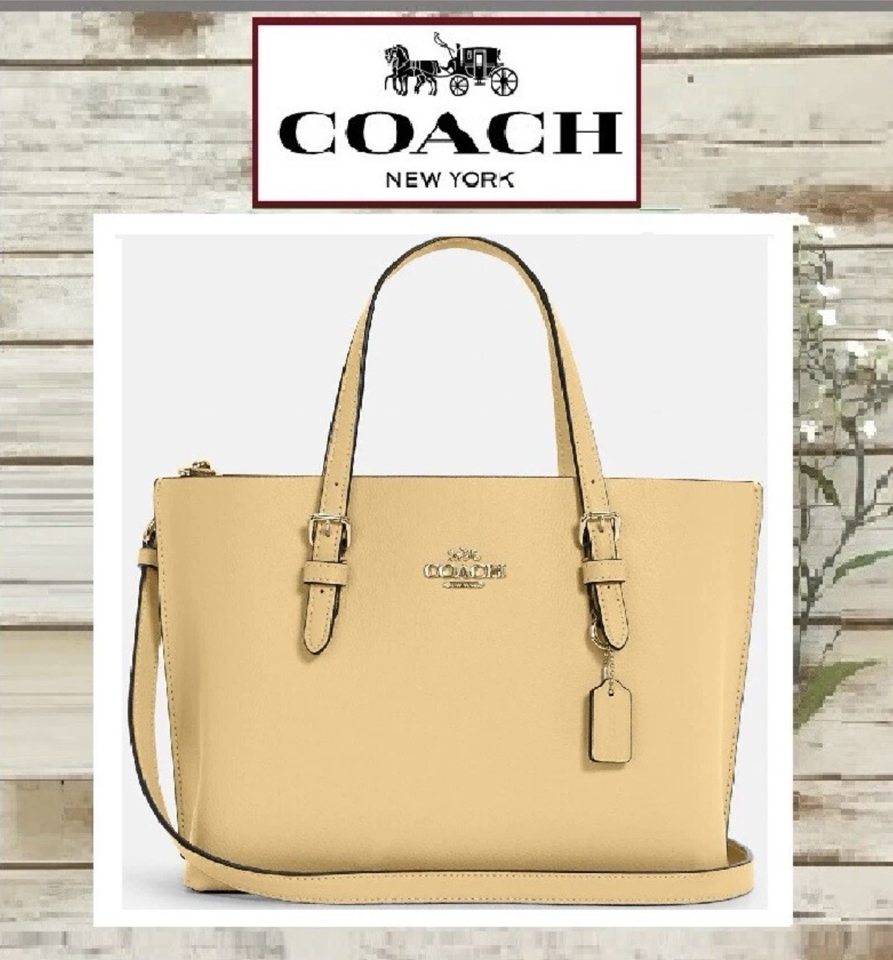 NWT COACH MOLLIE C4084 Tote 25 Crossbody Handbag In VANILLA Pebble-Leather Gold