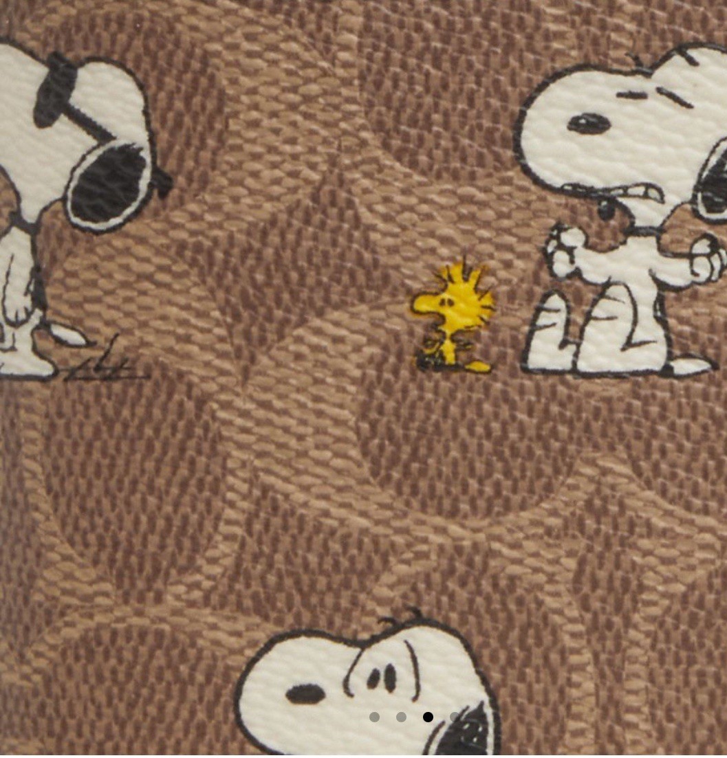 Coach X Peanuts 3 In 1 Wallet In Signature Canvas With Snoopy Print CBK56