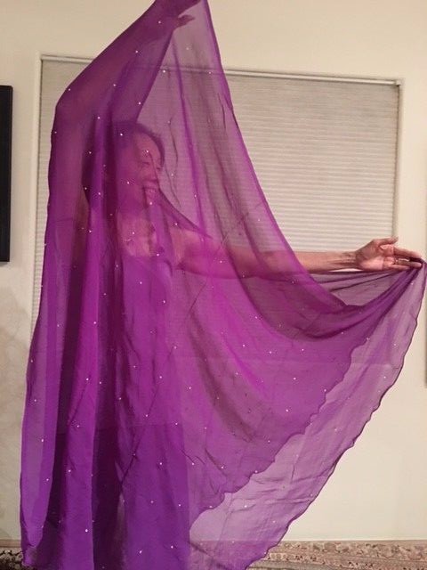 Half Circle Rhinestone Belly Dance Veils