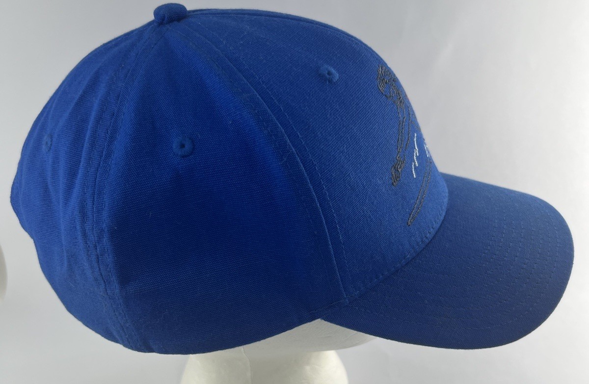 Patagonia Squatty Roger That Hat 2014 Snapback Hat Cap