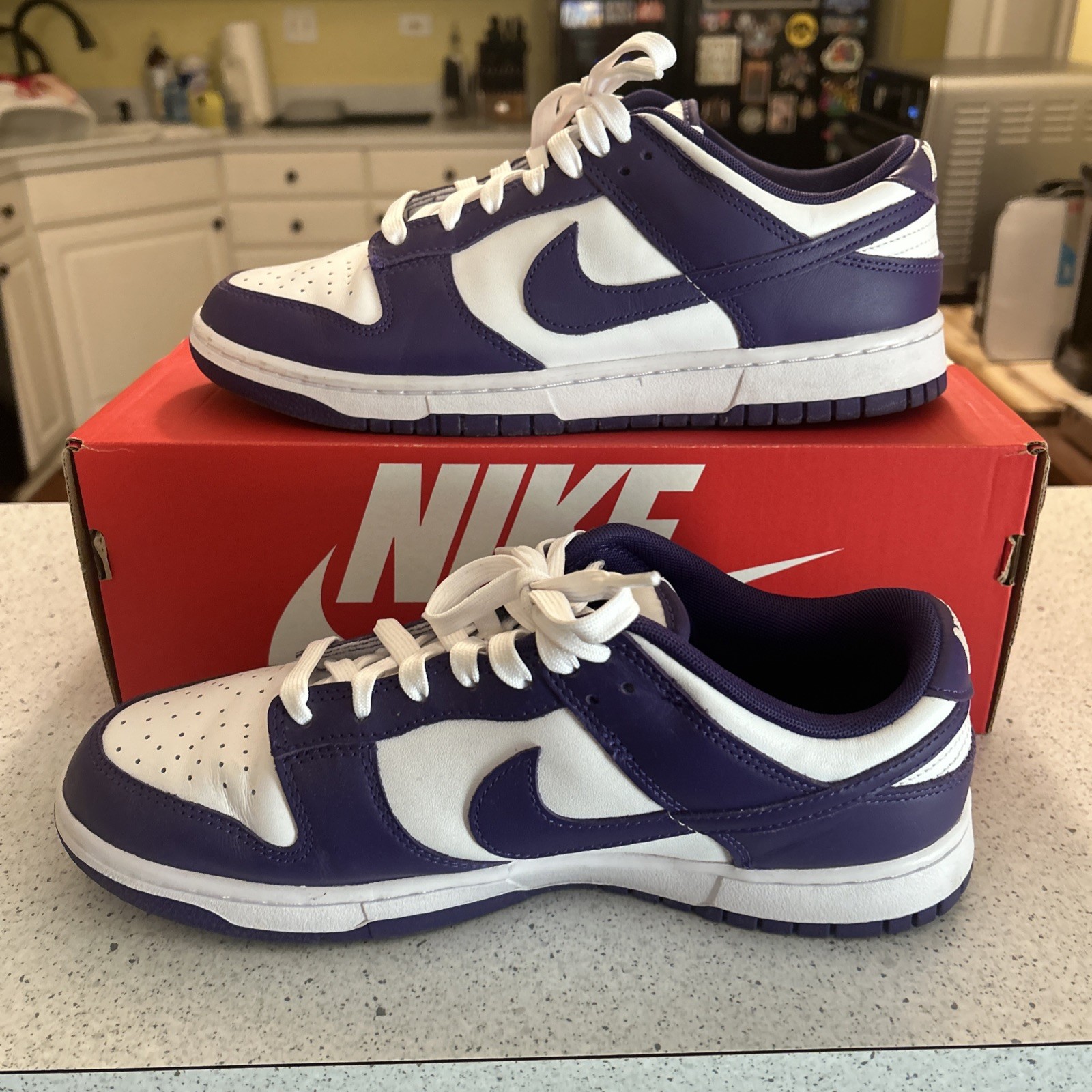 Nike Dunk Low Court Purple Men’s Size 9.5 DD1391-104