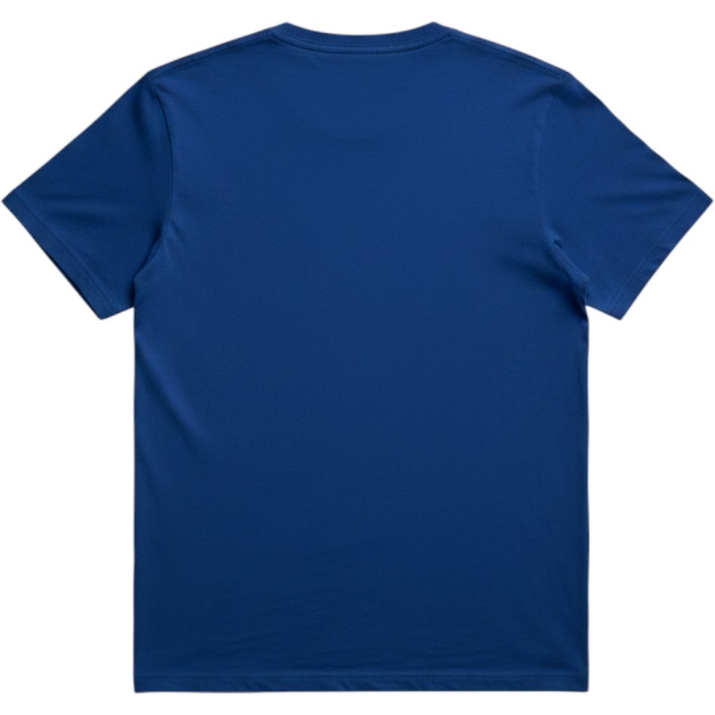 Men T-shirts Hollister California Large Blue Orange Hollister Guard