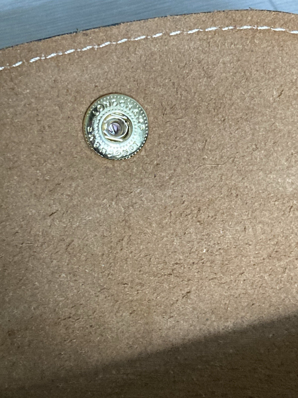 Longchamp Bag